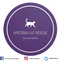 Wisteria Cat Rescue